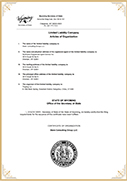 US Business License